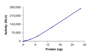 MET (M1250T), Active